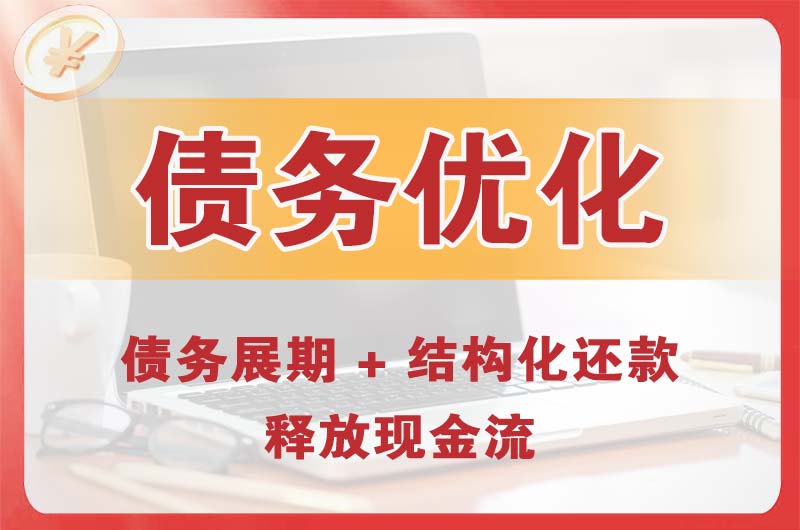 陇南债务优化