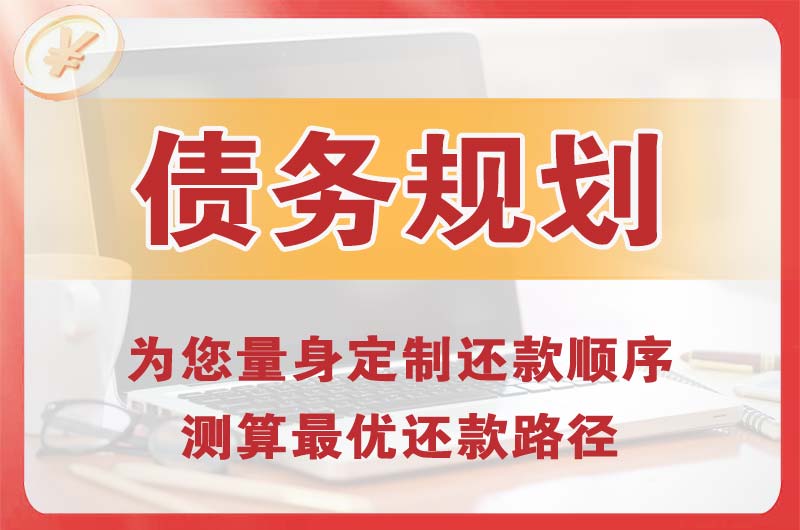 陇南债务规划